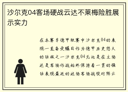 沙尔克04客场硬战云达不莱梅险胜展示实力